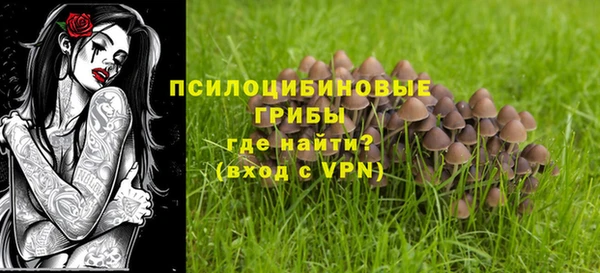 героин Алзамай