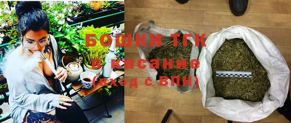 стаф Алексин